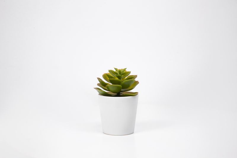 Cache-pot terracotta