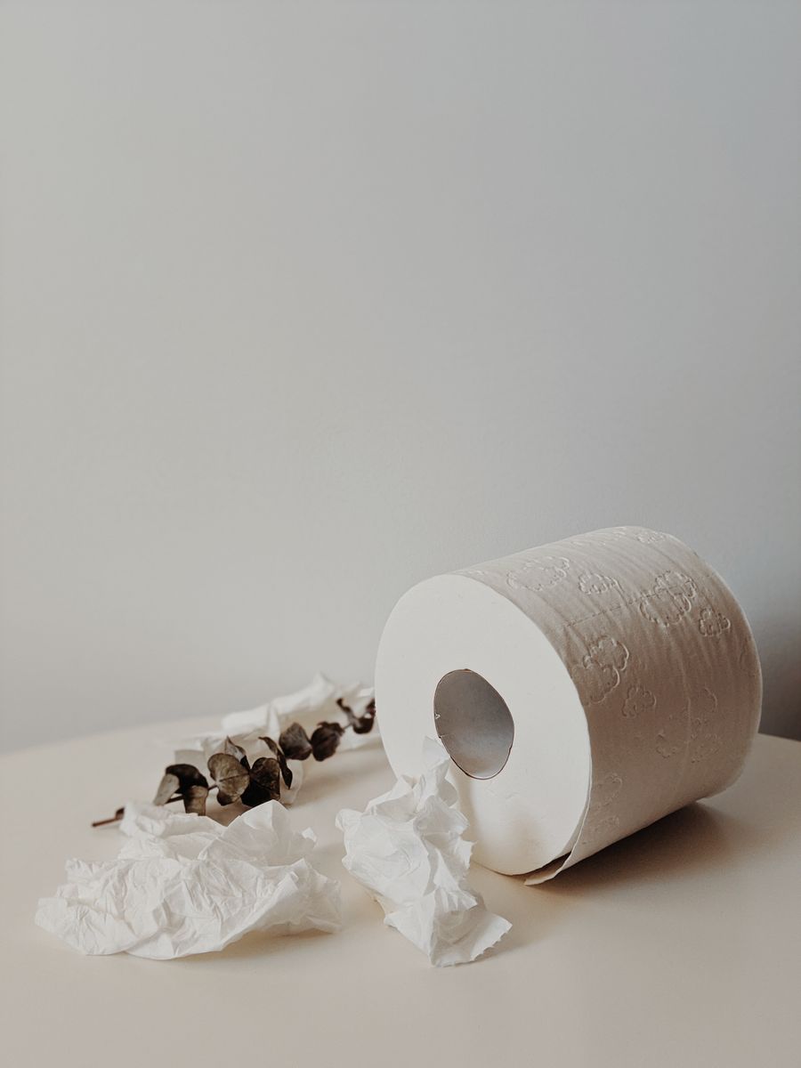 Papier toilette parfumé eucalyptus — 4 rouleaux